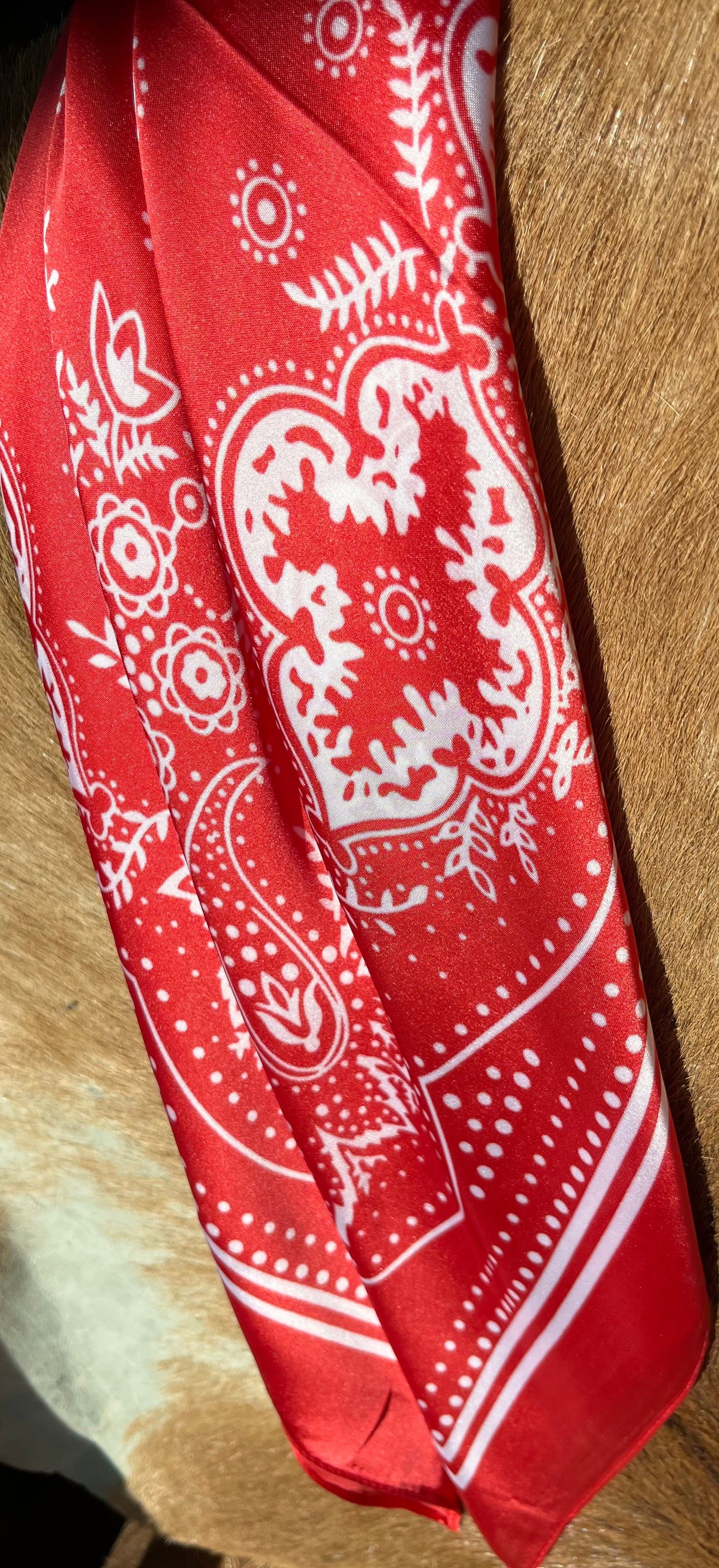 Wildrags - A Rare Bird