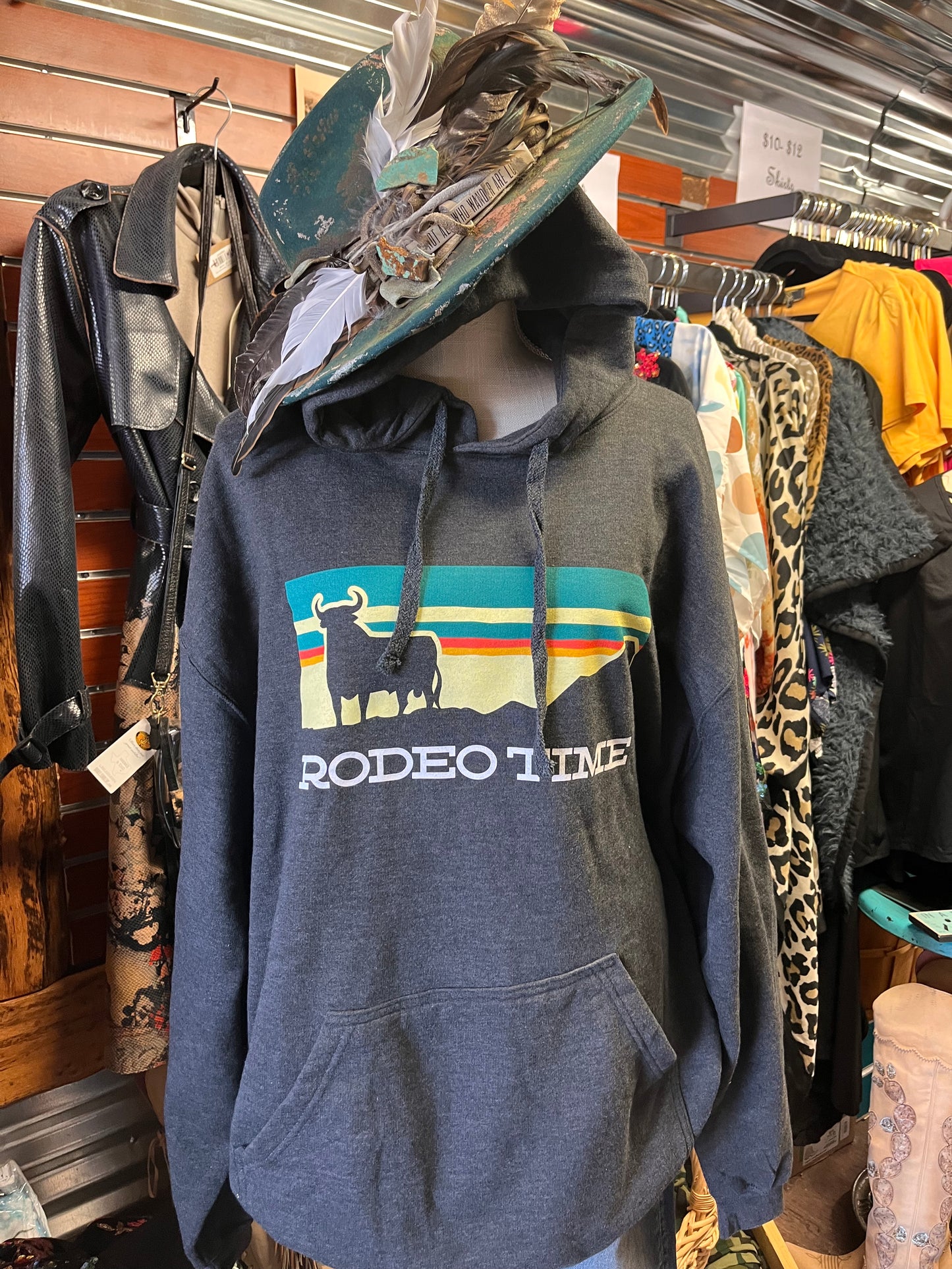 Sunset Rodeo Time Hoodie (adult) - Dale Brisby